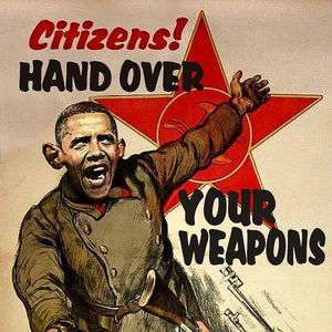 Meet your Posher, Seth